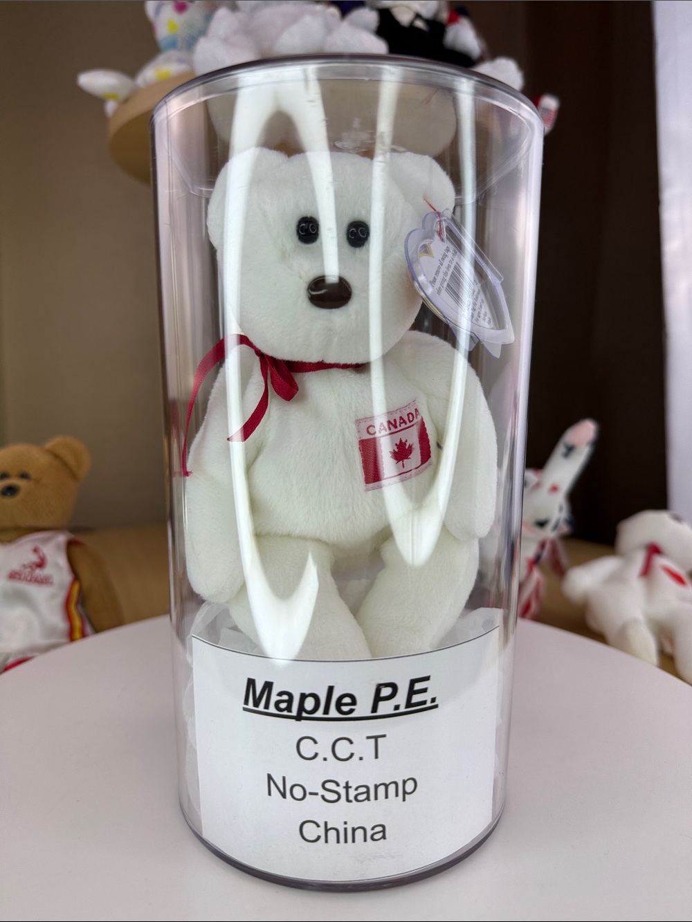 🍁MAPLE - C.C.T.